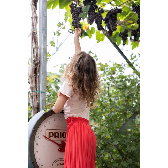 Jubel - T-shirt Roze - Ciao Bella