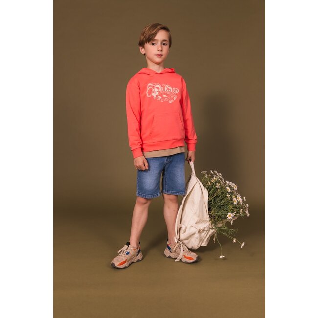 Quapi - Sweater Fince - Vintage Red