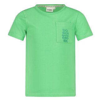 Sturdy Sturdy - T-shirt Lichtgroen - Explore More