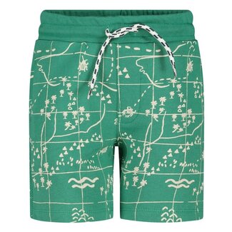 Sturdy Sturdy - Short AOP Groen - Explore More