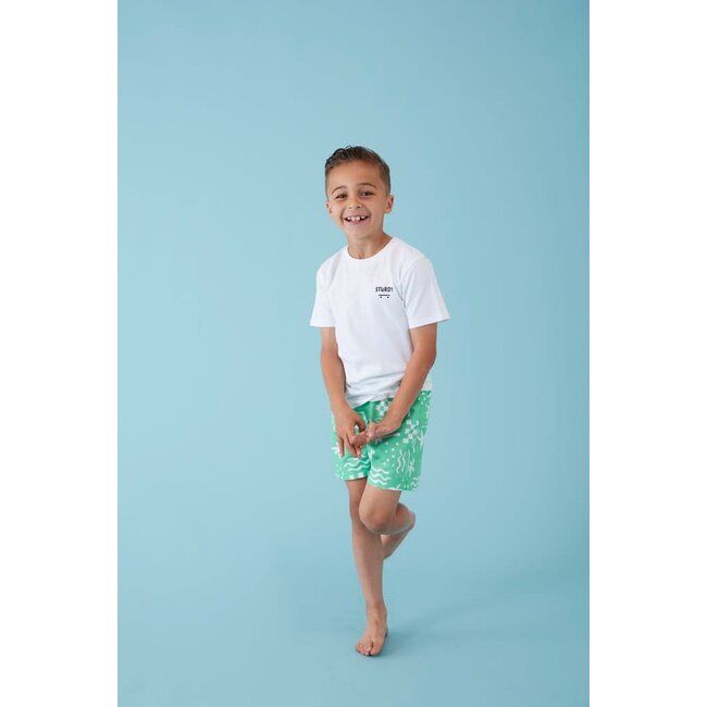 Sturdy - Zwemshort AOP Lichtgroen - Explore More