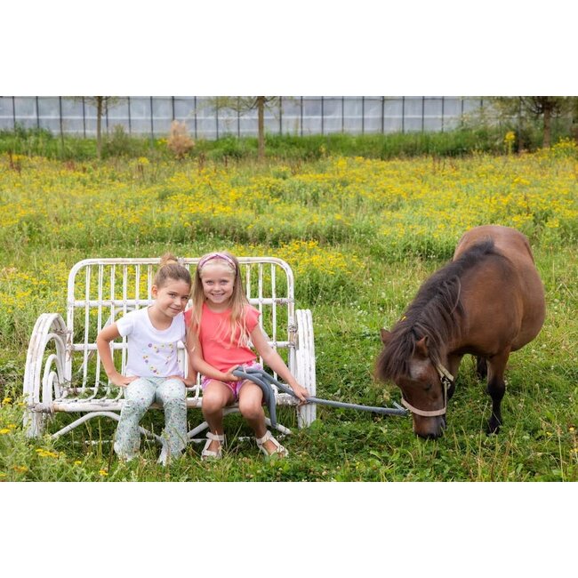 Jubel - T-shirt Flower Heart Wit - Picknick Perfect