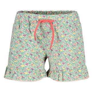 Jubel Jubel - Short AOP Groen - Picknick Perfect