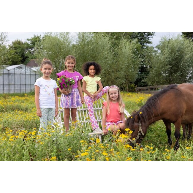 Jubel - Flared Broek AOP Groen - Picknick Perfect