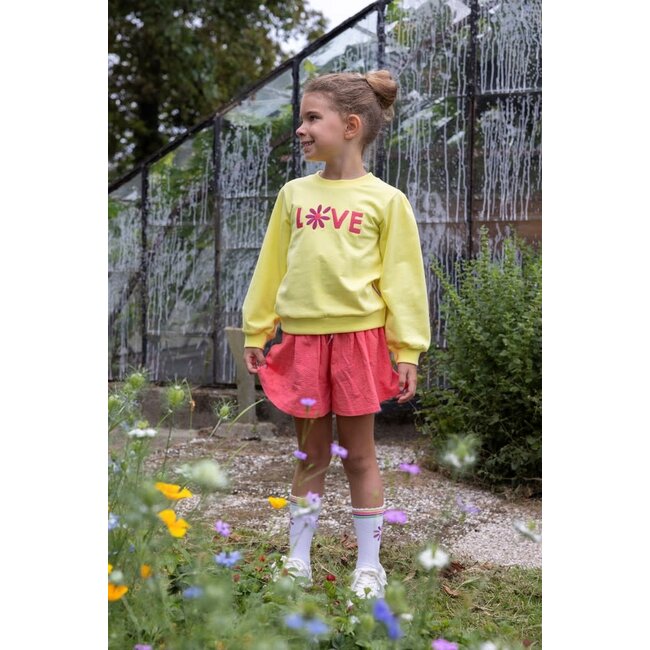 Jubel - Sokken Wit - Picknick Perfect