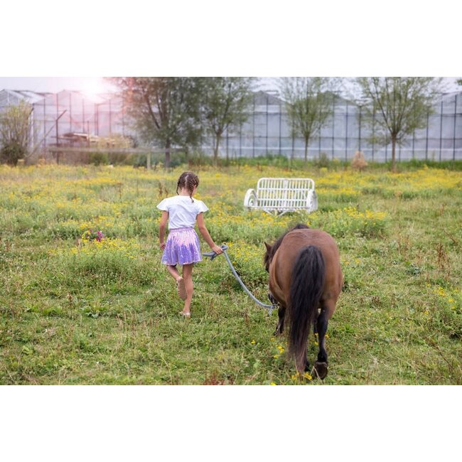 Jubel - Pailetten Rok Lila - Picknick Perfect