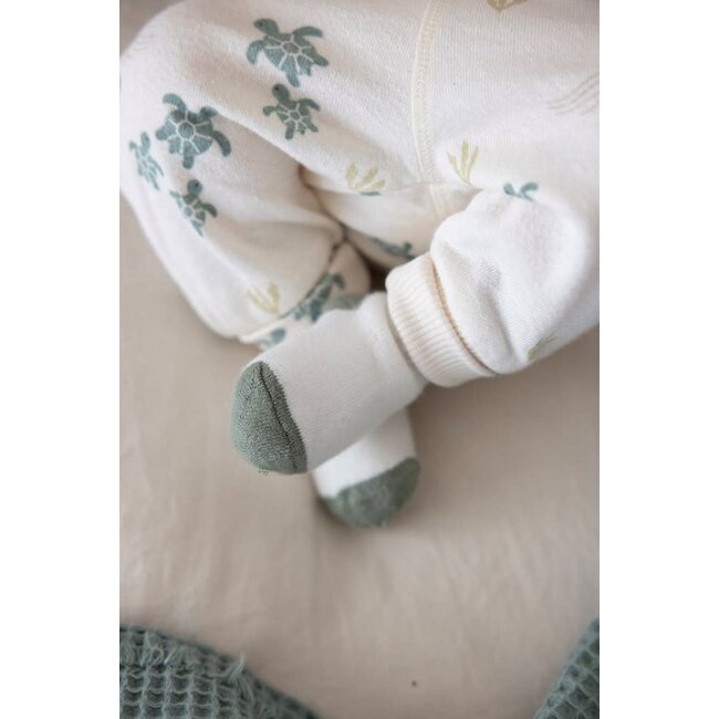 Feetje - Sokken Offwhite - Turtelly Cool