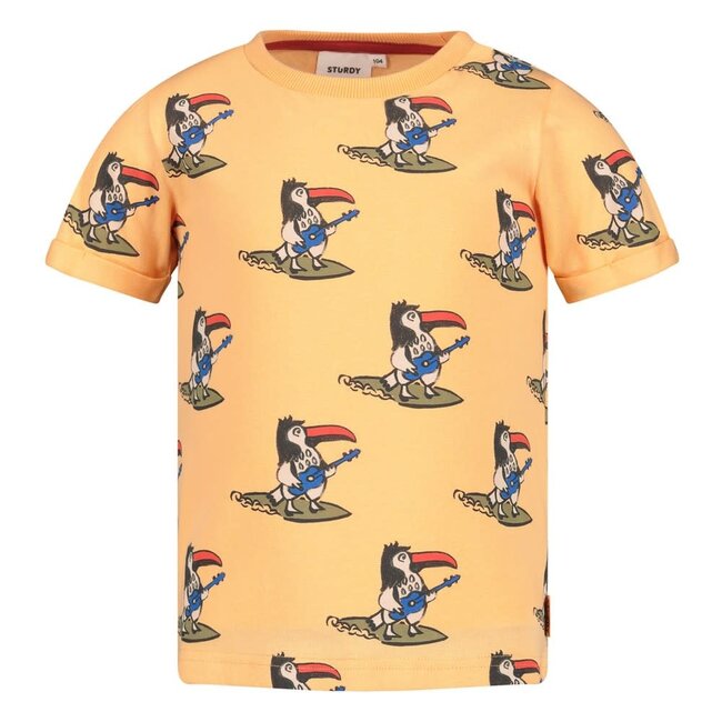 Sturdy - T-shirt AOP Perzik - Happy Rio
