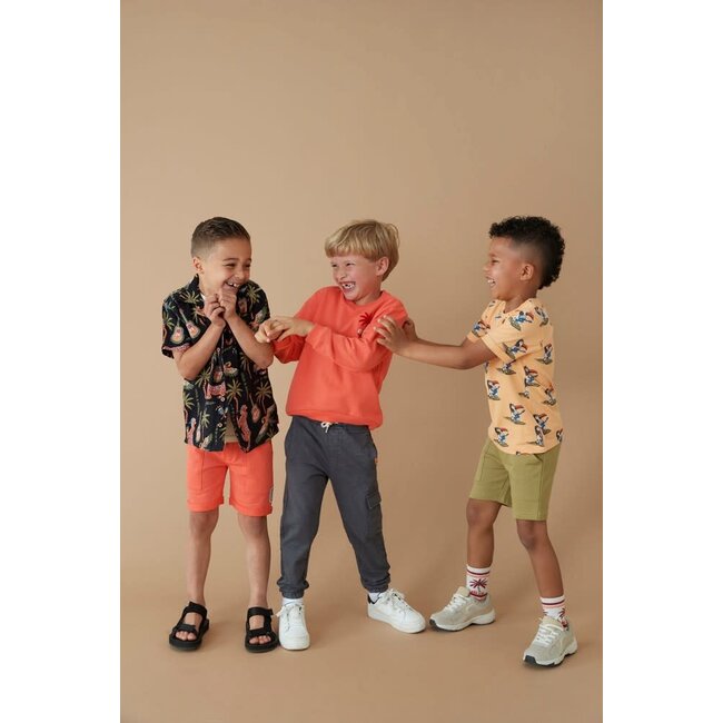 Sturdy - T-shirt AOP Perzik - Happy Rio