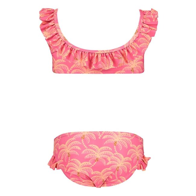 Jubel - Bikini AOP Roze - Samba Shake