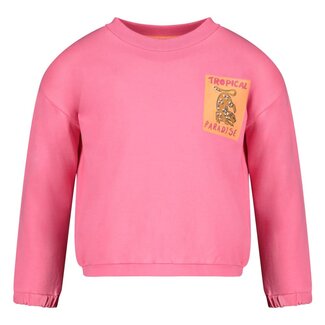 Jubel Jubel - Sweater Roze - Samba Shake