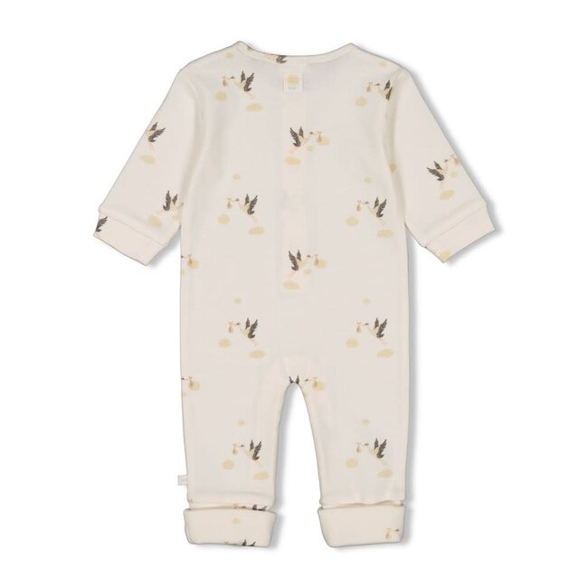 Feetje - Boxpak Omslagvoet AOP Rib Offwhite - Special Delivery