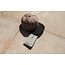 JeP Kids - Cap Palm - Sand