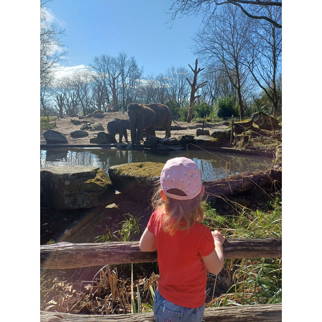 JeP Kids - Cap Tulip - Pink