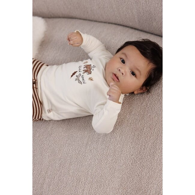 Feetje - Broek Streep Bruin - Wild World