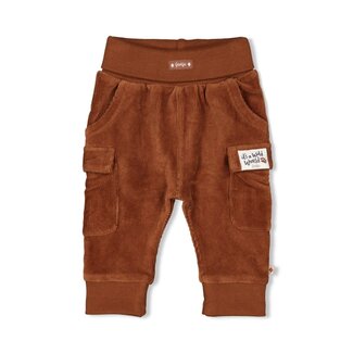 Feetje Feetje - Broek Velours Rib Bruin - Wild World