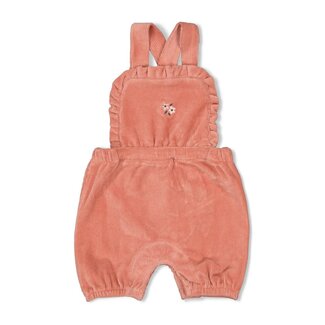 Feetje Feetje - Tuinbroek Kort Velours Rib Mauve - Woodland Bloom