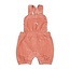 Feetje - Tuinbroek Kort Velours Rib Mauve - Woodland Bloom