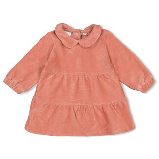 Feetje Feetje - Jurk Velours Rib Mauve - Woodland Bloom