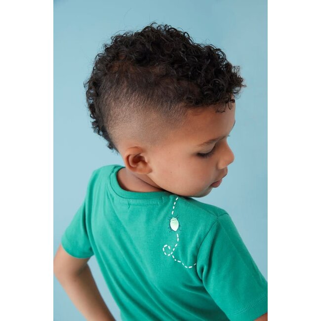 Sturdy - T-shirt Groen - Explore More