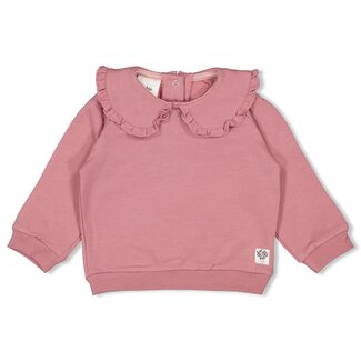 Feetje Feetje - Sweater Mauve - Swanlake