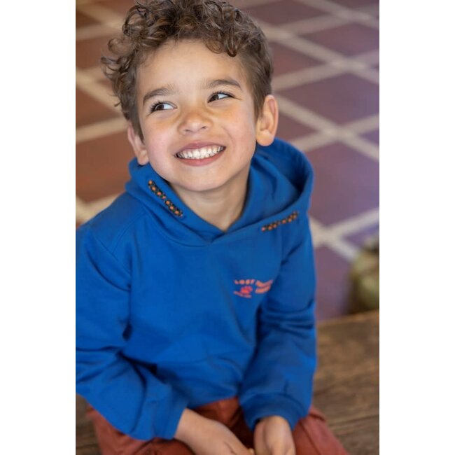 Sturdy - Hoody Blauw - Chasing Trails