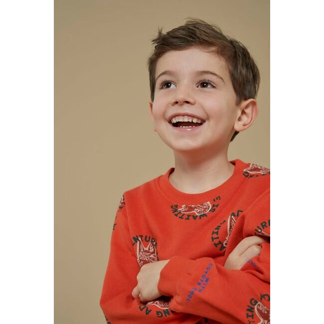 Sturdy - Sweater AOP Oranje - Chasing Trails