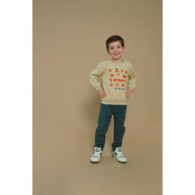 Sturdy - Sweater Kit - Chasing Trails