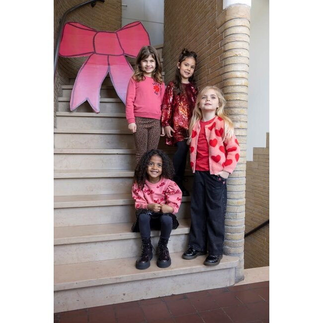 Jubel - Sweater Roze - Queen Of Hearts