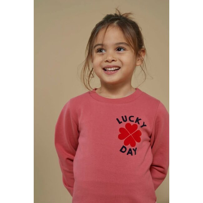 Jubel - Sweater Roze - Queen Of Hearts