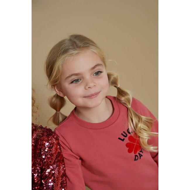 Jubel - Sweater Roze - Queen Of Hearts