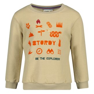 Sturdy Sturdy - Sweater Kit - Chasing Trails