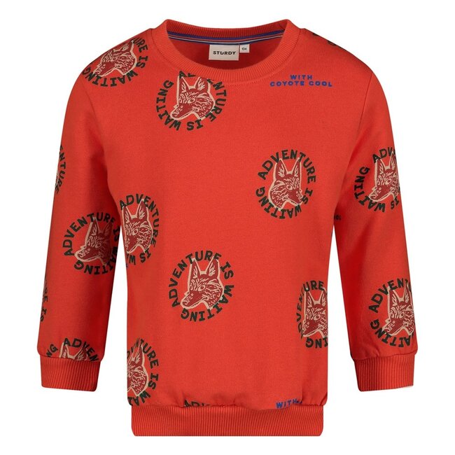 Sturdy - Sweater AOP Oranje - Chasing Trails
