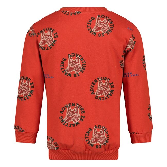Sturdy - Sweater AOP Oranje - Chasing Trails