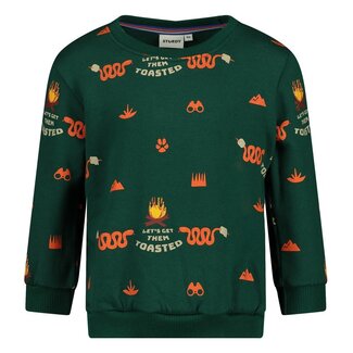 Sturdy Sturdy - Sweater AOP Groen - Chasing Trails