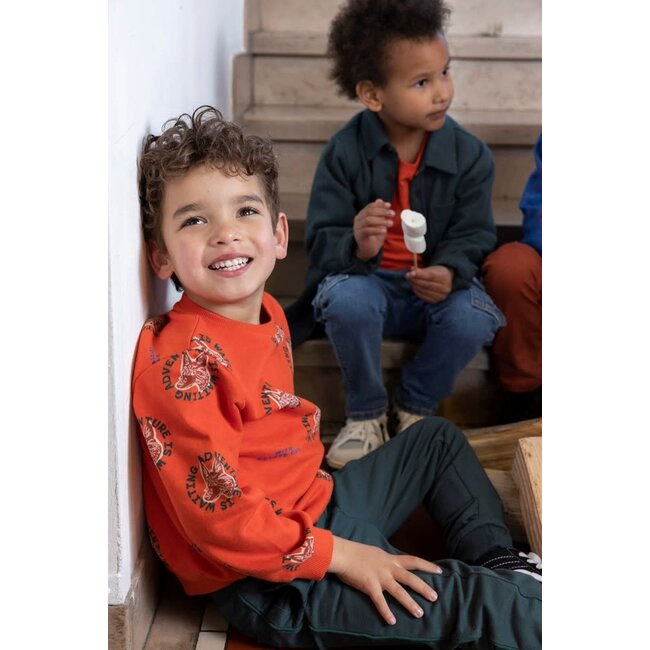 Sturdy - Cargo Broek Denim Blauw Denim - Winter Denims