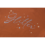 Someone - Shirt Willa - Cognac