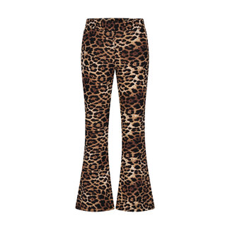 Moodstreet Moodstreet - Flared Leopard Pants Bibi - Leopard