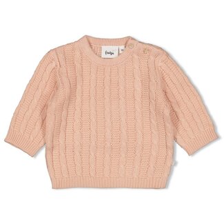 Feetje Feetje - Sweater Gebreid Roze - The Knits