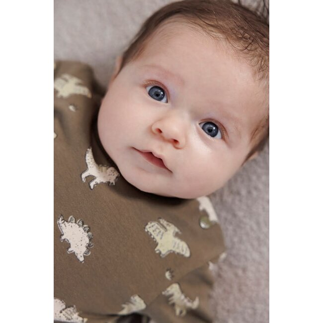 Feetje - Sweater AOP Olijf - Rawrsome