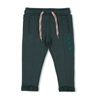 Feetje Feetje - Broek Petrol - Chasing Trails