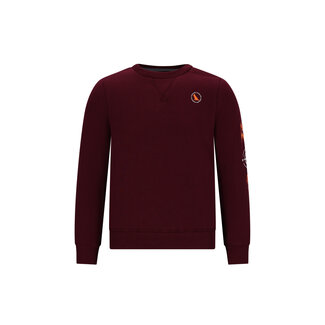Tygo & Vito Tygo & Vito - Sweater Sven - Maroon