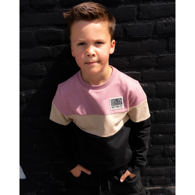Skurk - Sweater Sjoerd - Colourblock Rose