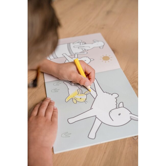 Little Dutch - Kleurboek - Little Farm