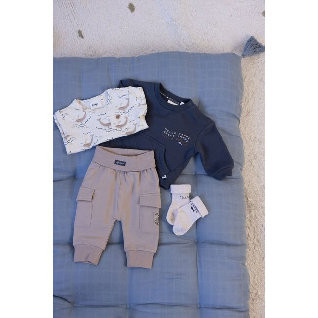 Feetje - Sweater Blauwgrijs - Narwal