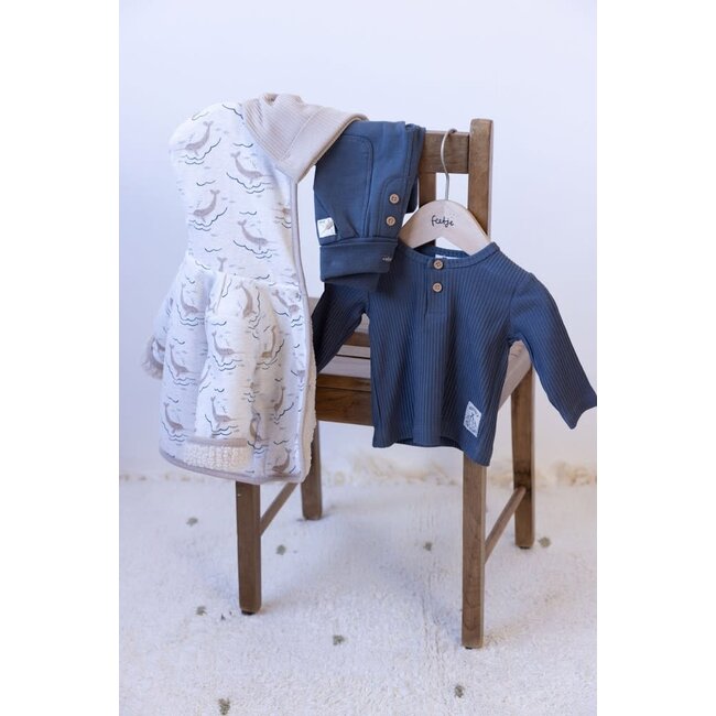 Feetje - Longsleeve Rib Blauwgrijs - Narwal