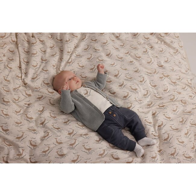 Feetje - Broek Blauwgrijs - Narwal