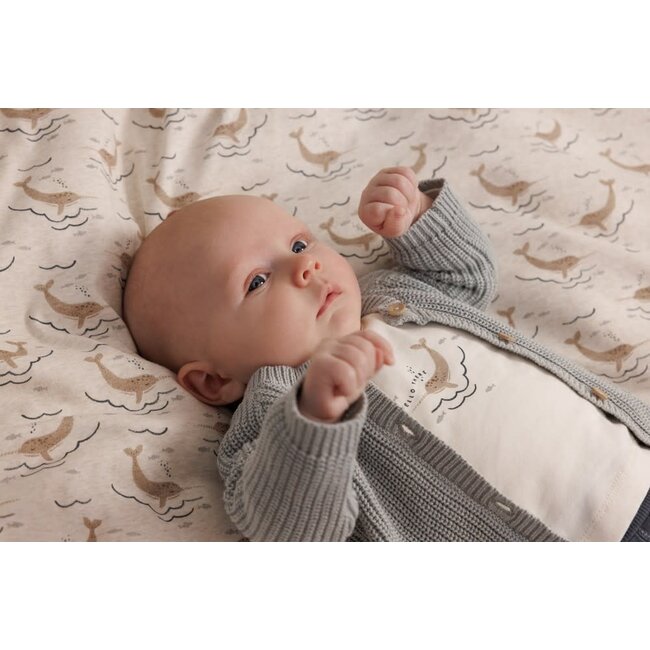 Feetje - Longsleeve Offwhite - Narwal