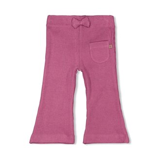 Feetje Feetje - Flare Broek Lila - Better Together