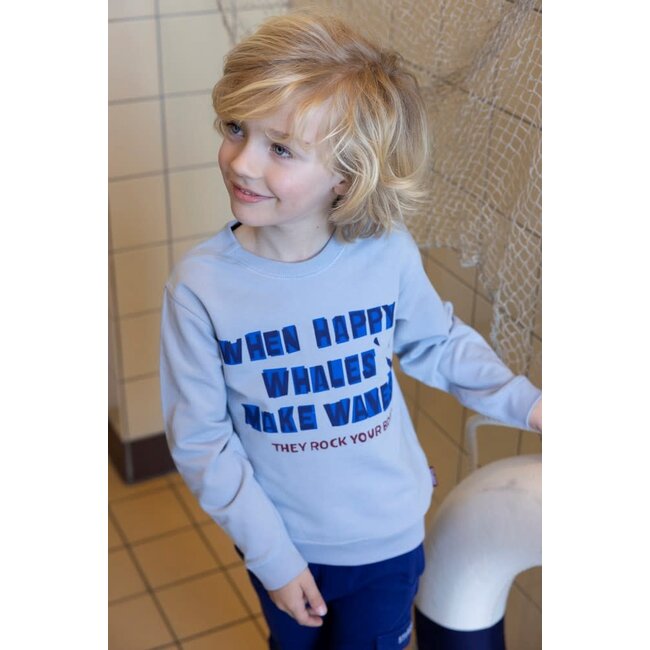 Sturdy - Sweater Blauw - Waves and Whales